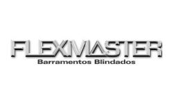 logo flexmaster